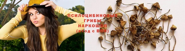 стаф Михайловка