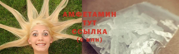 крисы Медвежьегорск