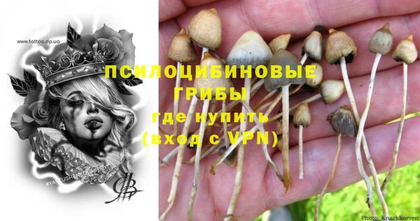 эйфоретик Михайлов
