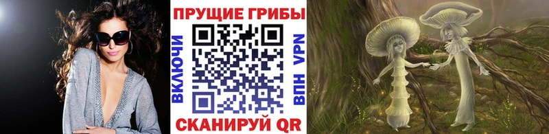 Галлюциногенные грибы Psilocybe  Ржев 