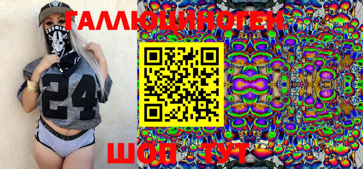 купить  цена  Ржев  Галлюциногенные грибы Psilocybe 