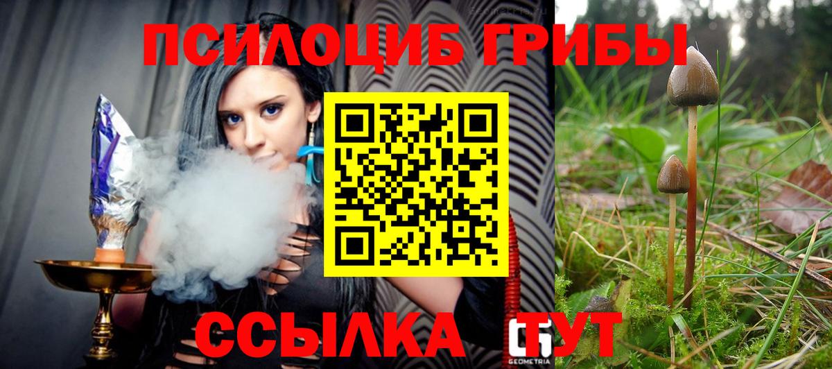 Псилоцибиновые грибы Psilocybine cubensis  Вход с VPN  Галлюциногенные грибы Psilocybe  Ржев 
