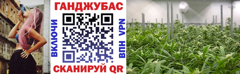 mega ONION  цена   Ржев  Шишки марихуана планчик 